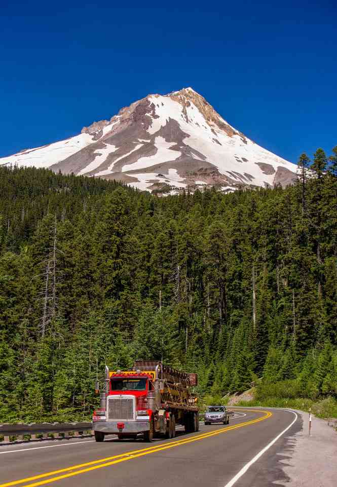 每年需补 3400 名工人！俄勒冈州林业强州梦，卡在教育短板上的缩略图