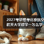 2027考研想考北京航空航天大学数学一怎么学？实用技巧分享（图2）