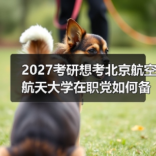 2027考研想考北京航空航天大学在职党如何备考有效计划攻略（图3）