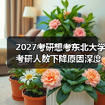 2027考研想考东北大学考研人数下降原因深度剖析（图4）