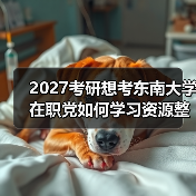 2027考研想考东南大学在职党如何学习资源整合和重点突破（图1）