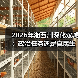 2026年湘西州深化双减：政治任务还是真民生工程？（图4）