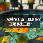 双减在湘西：政治任务还是民生工程？（图3）