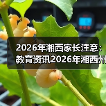 2026年湘西家长注意：教育资讯2026年湘西州深化双减是政治任务民生工程，别再只看分数了（图2）