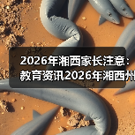 2026年湘西家长注意：教育资讯2026年湘西州深化双减是政治任务民生工程，别再只看分数了（图4）