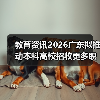 教育资讯2026广东拟推动本科高校招收更多职校毕业生，是机会还是陷阱？（图1）