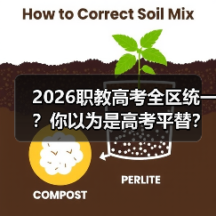 2026职教高考全区统一？你以为是高考平替？（图4）