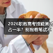 2026职教高考技能测试占一半?别抱着笔试不撒手了(图1) 2026职教高考技能测试占一半?别抱着笔试不撒手了(图1)