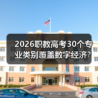2026职教高考30个专业类别覆盖数字经济？我研究后傻眼了（图4）