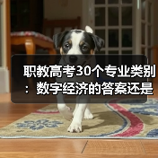 职教高考30个专业类别：数字经济的答案还是新问题？（图1）