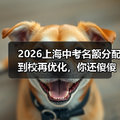 2026上海中考名额分配到校再优化，你还傻傻拼裸考？（图2）