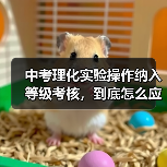 中考理化实验操作纳入等级考核，到底怎么应对？（图3）