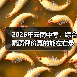 2026年云南中考：综合素质评价真的能左右录取结果吗？（图3）