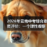 2026年云南中考综合素质评价：一个理性观察者的疑问（图2）