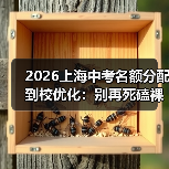 2026上海中考名额分配到校优化：别再死磕裸考，这三条路更野（图1）