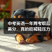 中考英语一年两考取最高分，真的能减轻压力吗？（图3）