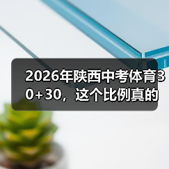 2026年陕西中考体育30+30，这个比例真的合理吗？（图2）