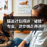 强基计划招进“储能”专业，这步棋走得通吗