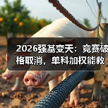 2026强基变天：竞赛破格取消，单科加权能救你吗？（图3）