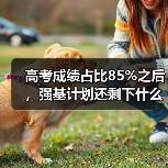高考成绩占比85%之后，强基计划还剩下什么（图2）