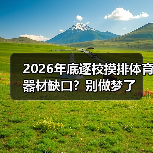 2026年底逐校摸排体育器材缺口？别做梦了
