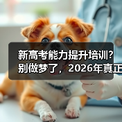新高考能力提升培训？别做梦了，2026年真正该做的三件事