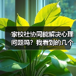 家校社协同能解决心理问题吗？我看到的几个矛盾（图1）