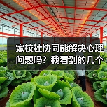 家校社协同能解决心理问题吗？我看到的几个矛盾（图2）