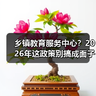 乡镇教育服务中心?2026年这政策别搞成面子工程(图4) 乡镇教育服务中心?2026年这政策别搞成面子工程(图4)