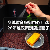 乡镇教育服务中心?2026年这政策别搞成面子工程(图2) 乡镇教育服务中心?2026年这政策别搞成面子工程(图2)