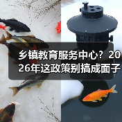 乡镇教育服务中心?2026年这政策别搞成面子工程(图3) 乡镇教育服务中心?2026年这政策别搞成面子工程(图3)