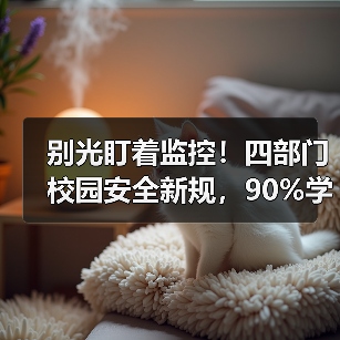 别光盯着监控!四部门校园安全新规,90%学校搞错了重点(图2) 别光盯着监控!四部门校园安全新规,90%学校搞错了重点(图2)