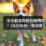 安全教育周真的有用吗?2026年的一些观察(图1) 安全教育周真的有用吗?2026年的一些观察(图1)