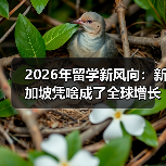 2026年留学新风向：新加坡凭啥成了全球增长最快的高等教育目的地？（图4）