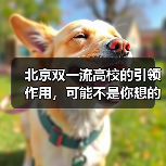 北京双一流高校的引领作用，可能不是你想的那样（图1）