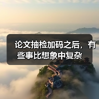 论文抽检加码之后，有些事比想象中复杂（图4）