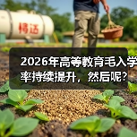 2026年高等教育毛入学率持续提升,然后呢?(图2) 2026年高等教育毛入学率持续提升,然后呢?(图2)
