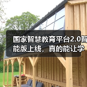 国家智慧教育平台2.0智能版上线，真的能让学习更高效吗（图3）