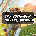 国家智慧教育平台2.0智能版上线，真的能让学习更高效吗（图4）