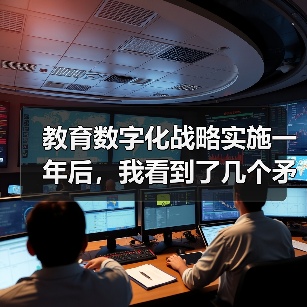 教育数字化战略实施一年后，我看到了几个矛盾的数据（图3）