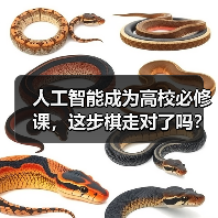 人工智能成为高校必修课，这步棋走对了吗？（图1）