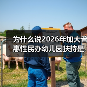 为什么说2026年加大普惠性民办幼儿园扶持是个分水岭?(图4) 为什么说2026年加大普惠性民办幼儿园扶持是个分水岭?(图4)