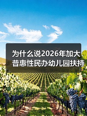 为什么说2026年加大普惠性民办幼儿园扶持是个分水岭?(图3) 为什么说2026年加大普惠性民办幼儿园扶持是个分水岭?(图3)