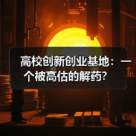 高校创新创业基地：一个被高估的解药？（图3）
