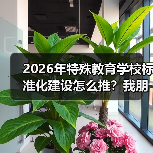 2026年特殊教育学校标准化建设怎么推？我朋友那所学校的教训