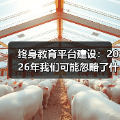 终身教育平台建设：2026年我们可能忽略了什么