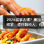 2026留学去哪?美加澳收紧,德日韩抢人,你怎么选?(图2) 2026留学去哪?美加澳收紧,德日韩抢人,你怎么选?(图2)