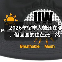 2026年留学人数还在涨,但回国的也在涨,然后呢?(图4) 2026年留学人数还在涨,但回国的也在涨,然后呢?(图4)