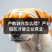 产教融合怎么搞?产业园区才是企业真金(图3) 产教融合怎么搞?产业园区才是企业真金(图3)