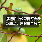 搞懂职业教育博览会参观重点:产教融合展会如何获取合作意向(图2) 搞懂职业教育博览会参观重点:产教融合展会如何获取合作意向(图2)